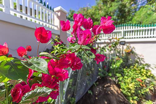Villa Dalhia Pointe-Noire Dış mekan fotoğraf